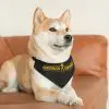 Pet Bandana Collar - Image 3