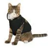 Pet Hoodie - Image 5