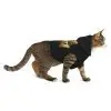 Pet Hoodie - Image 6