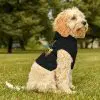 Pet Hoodie - Image 8